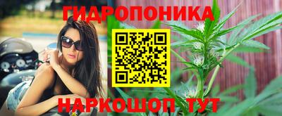 соль курить ск Кингисепп