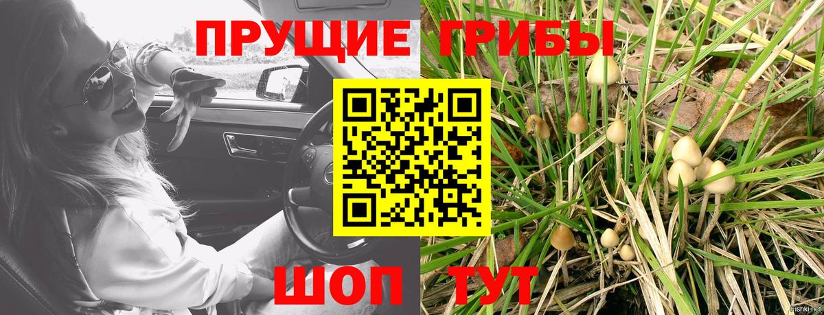 Коммунар  Альфа ПВП СК кристаллы  COCAIN  Канабис  Меф МЯУ МЯУ   Магазины продажи наркотиков  МЕТАМФЕТАМИН  Вход с VPN  ГАШ 