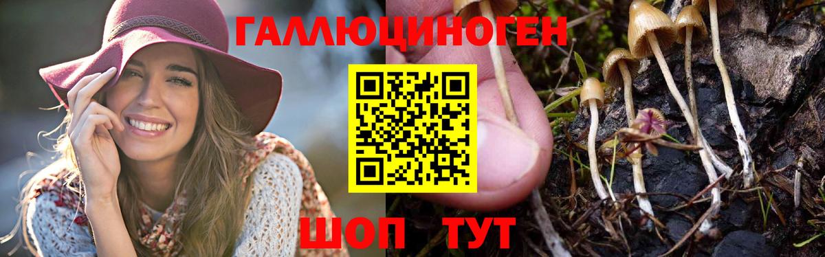 Псилоцибиновые грибы ЛСД Коммунар